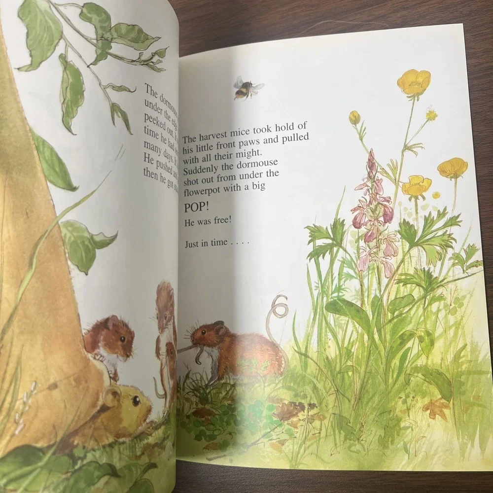 THE‎ SLEEPY DORMOUSE (MARK EZRA/GAVIN ROWE COLLECTION) Mint Condition 1995